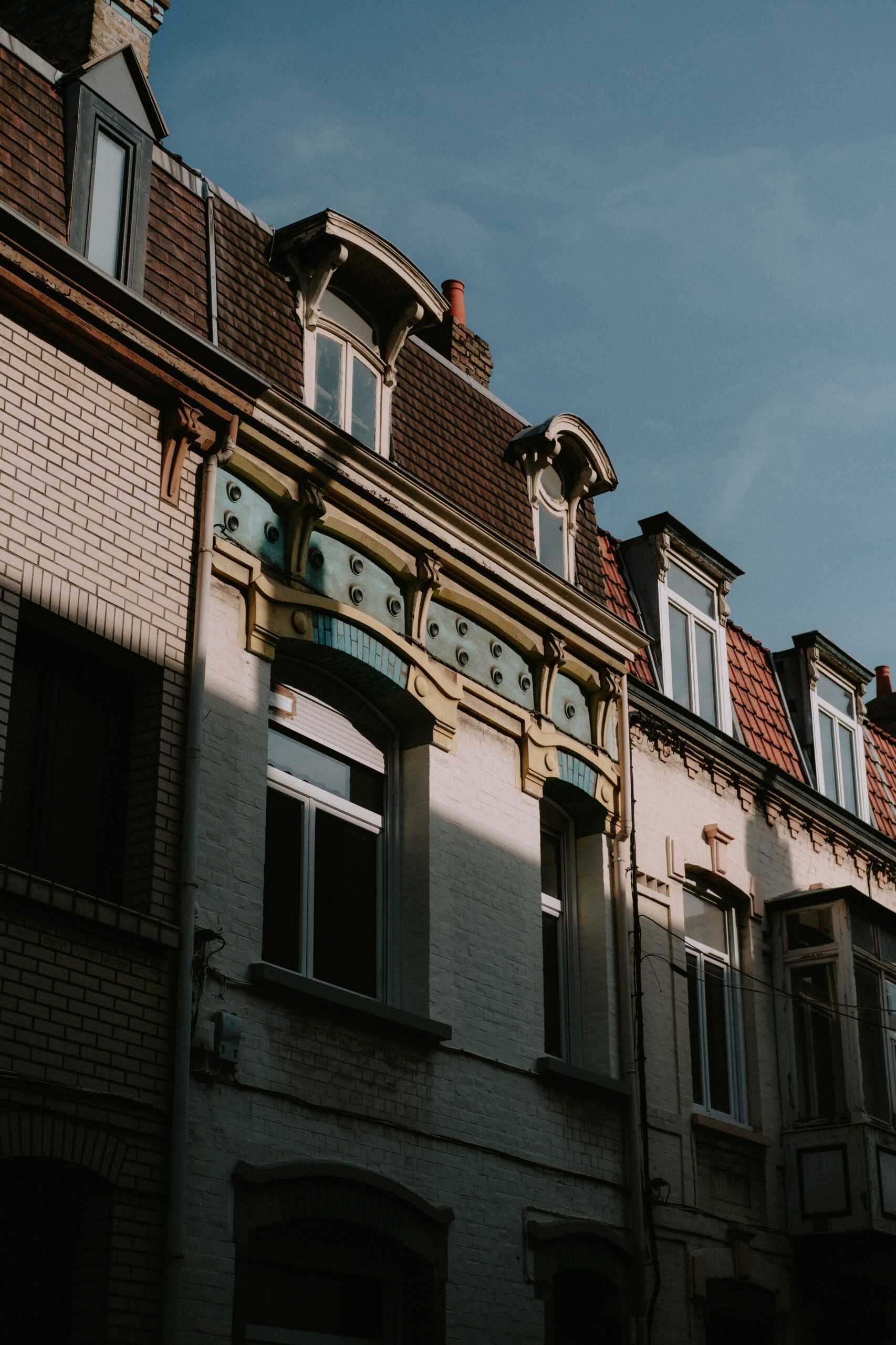 pexels-matreding-11363701
